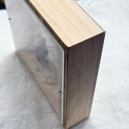 "Martha My Dear" Assemblage