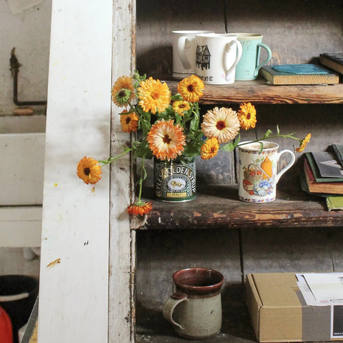 Atmosfloric: Flower Colour in Home and Garden