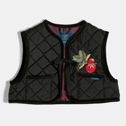 John Derian Apple Tie -Up Gilet Women's Vest in Black