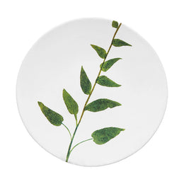 Campanula Plate