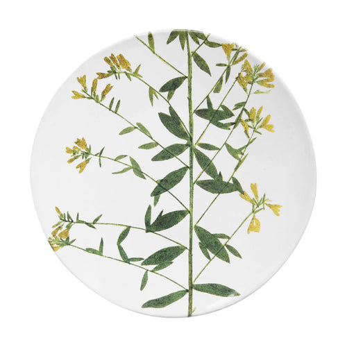 Genista Plate