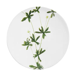 Tormentilla Plate