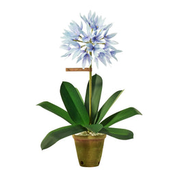 The Green Vase Potted Allium