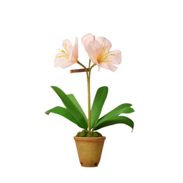 The Green Vase Potted Amaryllis Plant