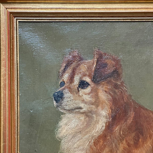 20th Century Pomeranian Painting by Chas Hermann-Léon