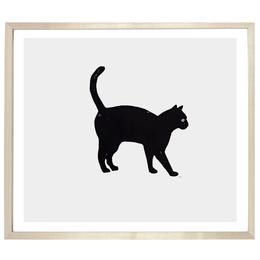 Black Cat with Arched Back
