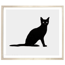 Black Cat with Flat Tail