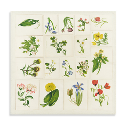 Summerill & Bishop x John Derian "Botanical Tiles" Linen Napkin Set of 6