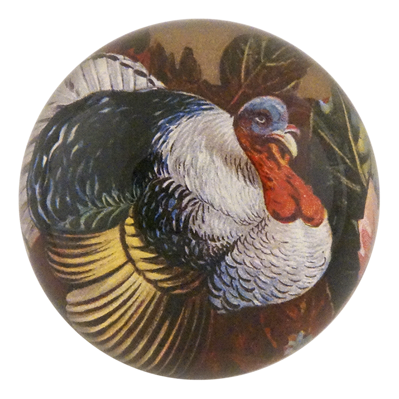 A Happy Thanksgiving
