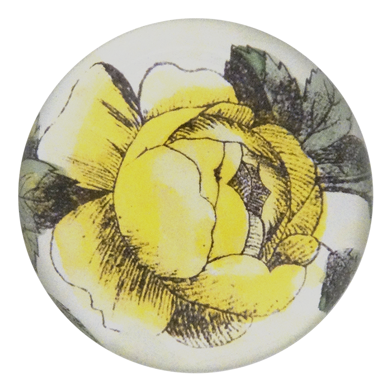 Bright Yellow Rose