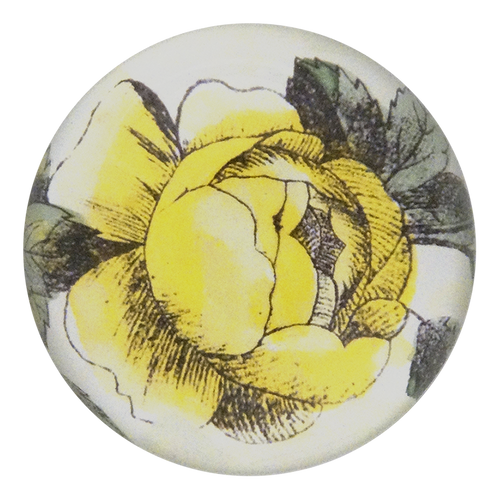 Bright Yellow Rose