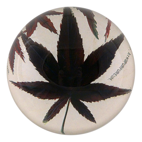 Brown Maple - FINAL SALE