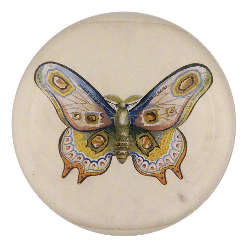 Butterfly Ad