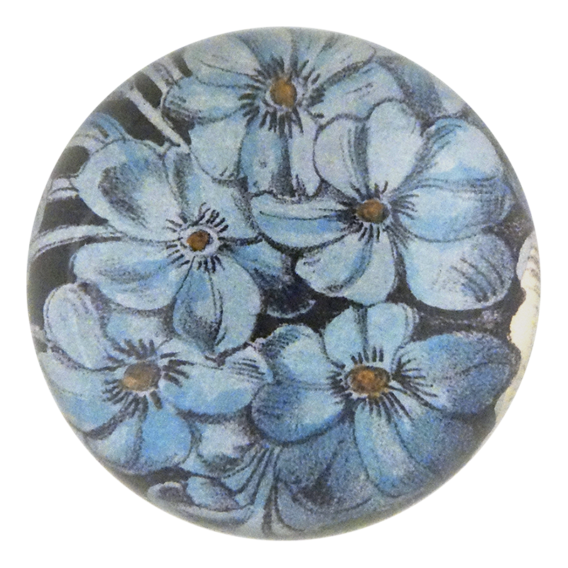 Choice Phlox
