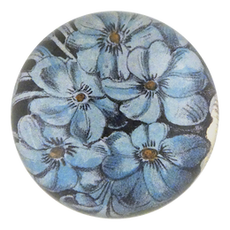 Choice Phlox