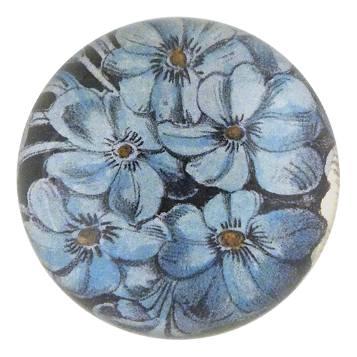 Choice Phlox