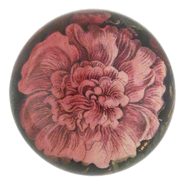 Choice Pink Rose