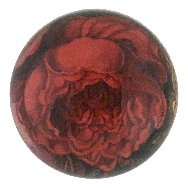 Choice Red Rose