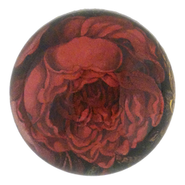Choice Red Rose
