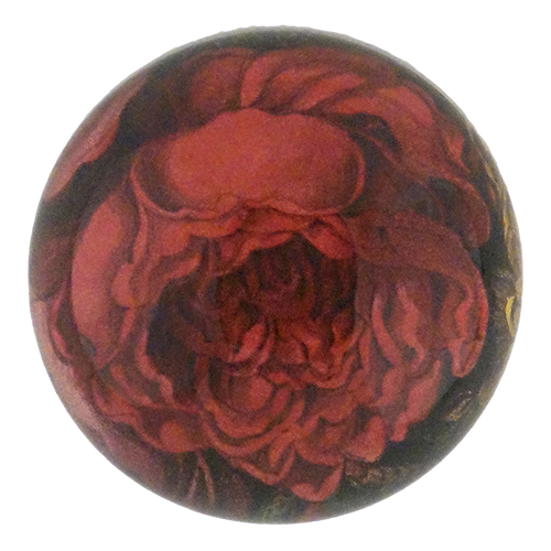 Choice Red Rose