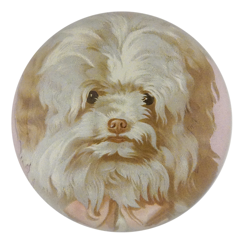 Dog Cut Out
