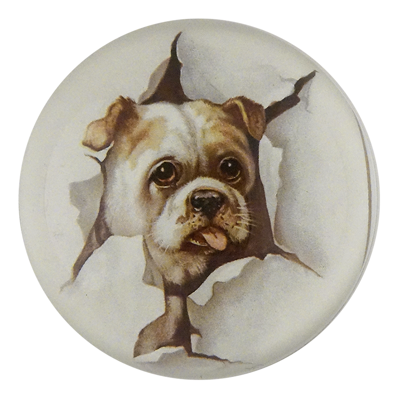 Doggie