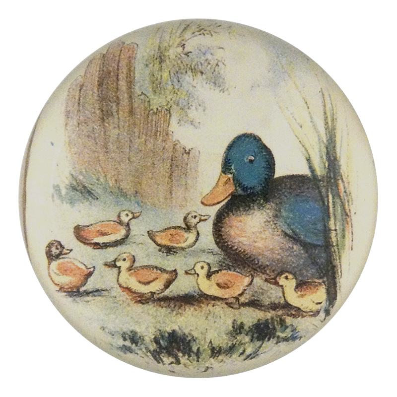 Ducklings