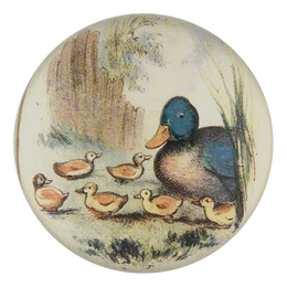 Ducklings