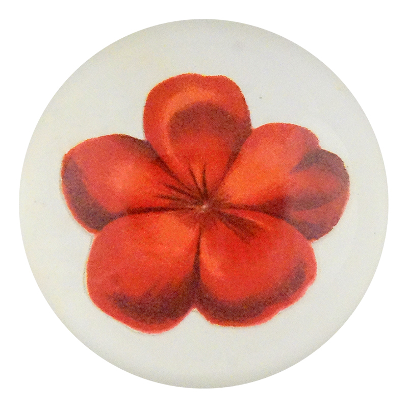 Geranium Fleuret 1