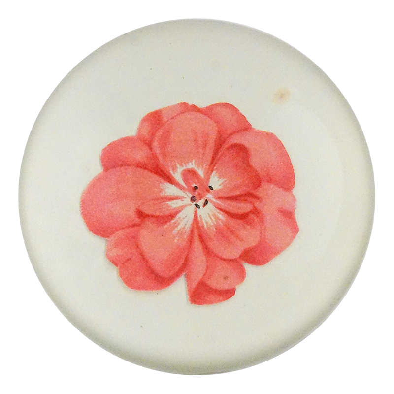 Geranium Fleuret 2