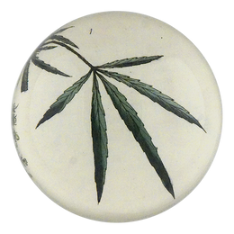 Hemp Fig. 1