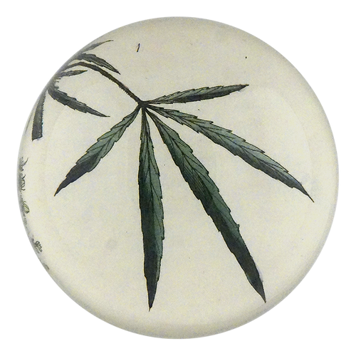 Hemp Fig. 1