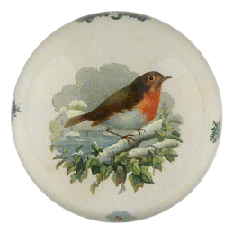 Perched Robin
