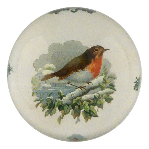 Perched Robin