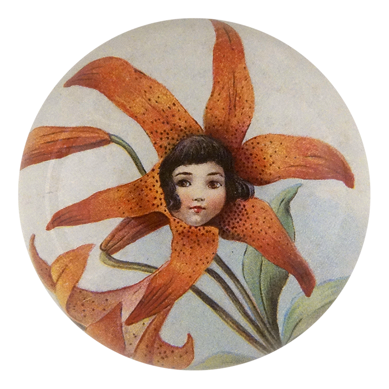 Tiger Lily