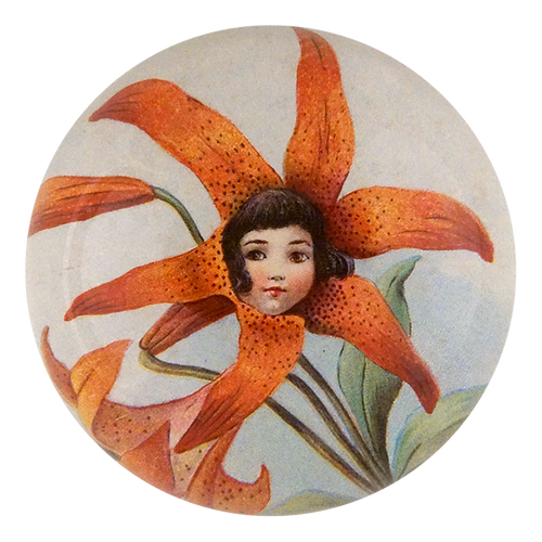 Tiger Lily