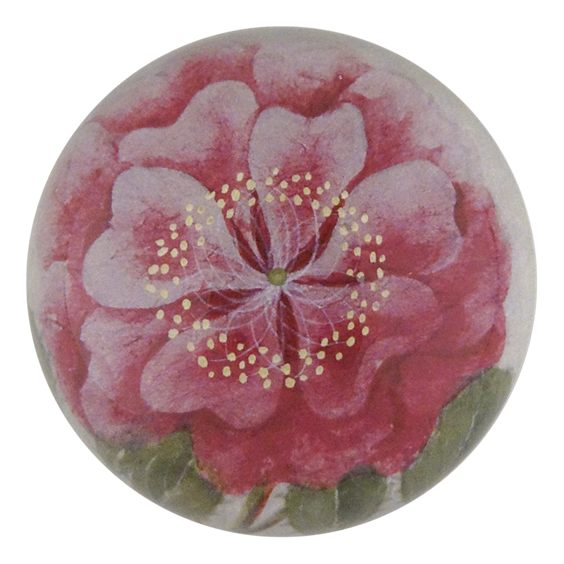 Tropical Rose
