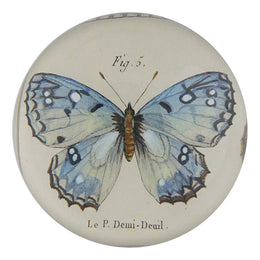 Fig. 5 Butterfly - FINAL SALE