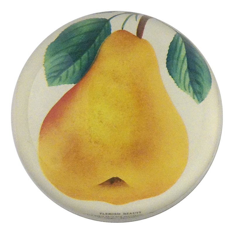 Flemish Beauty Pear