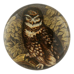 Owl with Leaves - FINAL SALE