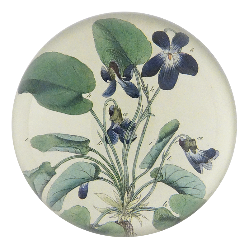 Violets