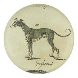 Greyhound - FINAL SALE