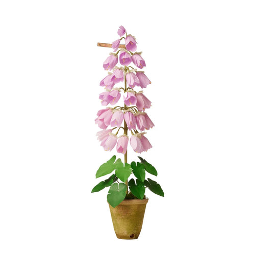 The Green Vase Potted Campanula Plant Vase