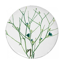 Cichorium Plate