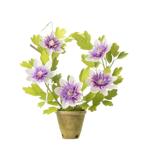 The Green Vase Potted Purple Clematis Florida