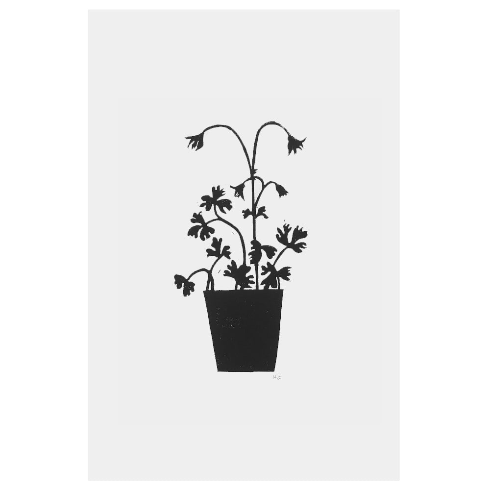 Columbine