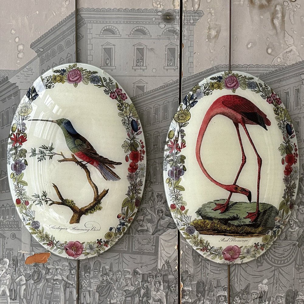 Flamingo with Flowers (Convex)