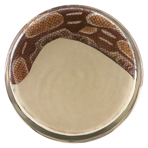 Boa
