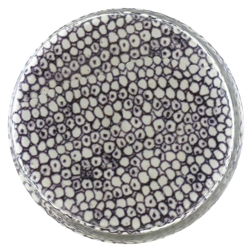 Caviar