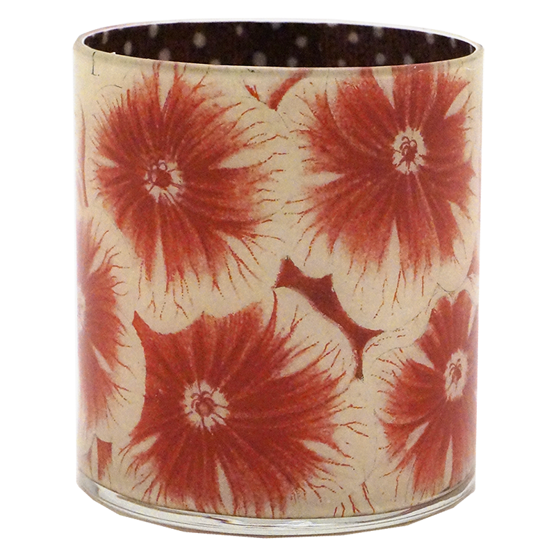 Pelargonium